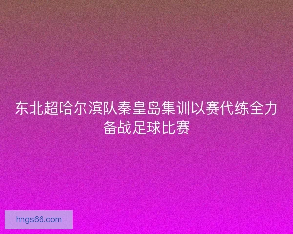 东北超哈尔滨队秦皇岛集训以赛代练全力备战足球比赛 东北超哈尔滨队秦皇岛集训以赛代练全力备战足球比赛